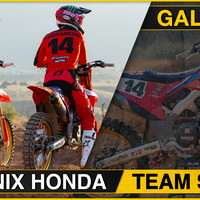 Phoenix Honda Gallery %281%29